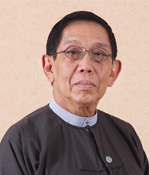 Professor Dr. Aung Tun Thet