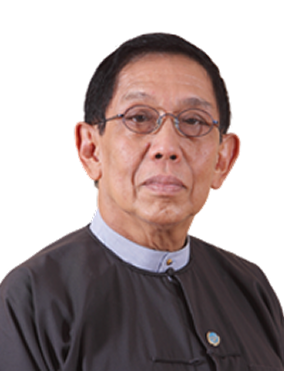 Professor Dr. Aung Tun Thet